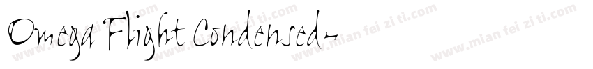 Omega Flight Condensed字体转换
